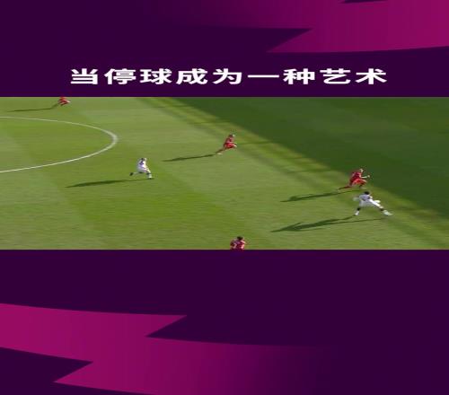如果停球有段位潇洒哥贝尔巴托夫可能是王者级别没跑