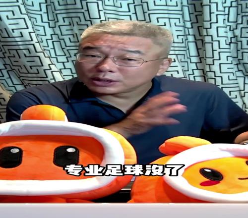 一語道破！劉建宏：中國足球回不到專業(yè)體系了