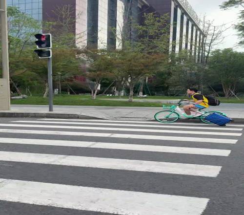 中國行最強(qiáng)庫蜜！騎共享單車追庫里車隊只為求簽名！