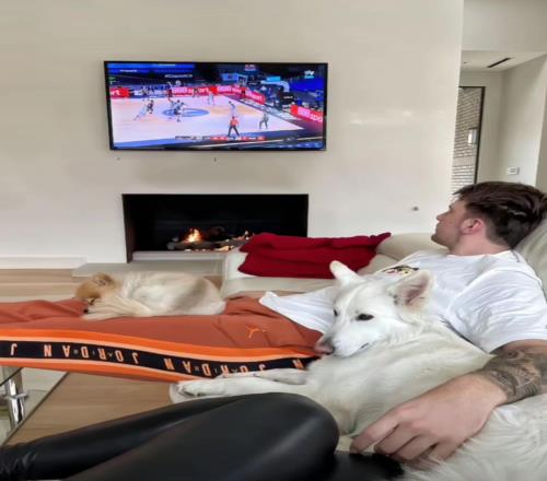东契奇和老婆爱犬一起看球赛不知道的还以为在看CBA