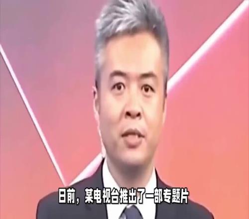 从央视名嘴到阶下囚,从香蕉体育到冬奥项目,揭秘段暄的堕落史