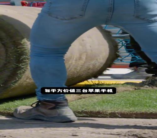 新诺坎普草皮每平方价值3台苹果手机,每年维护费用高达200万