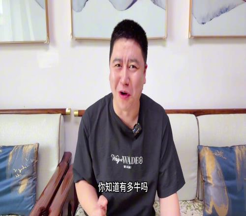 大史:萧华啊!东决才是球迷想看的比赛你看西决打的啥一直嘟嘟
