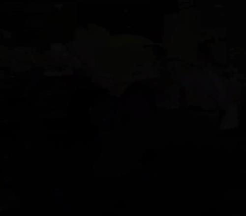 安切洛蒂抵达巴西,巴西足协主席全程陪同,球迷燃放焰火热情迎接