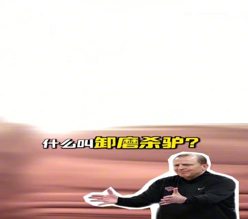 段冉：尼克斯解雇錫伯杜是卸磨殺驢！他把尼克斯帶到不屬於他們的高度