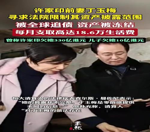 真假許家印前妻被全球追債，曾稱許家印欠她300多億