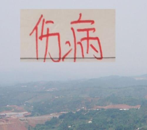 都有因傷不如意球星海港有球王申花有2024本土標王