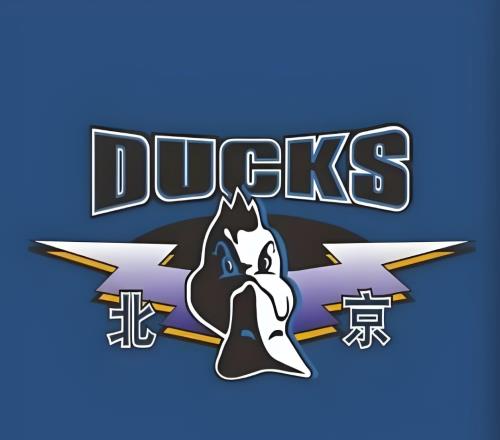 輸廣廈3分！揪出3大“廢柴”坑慘了北京隊