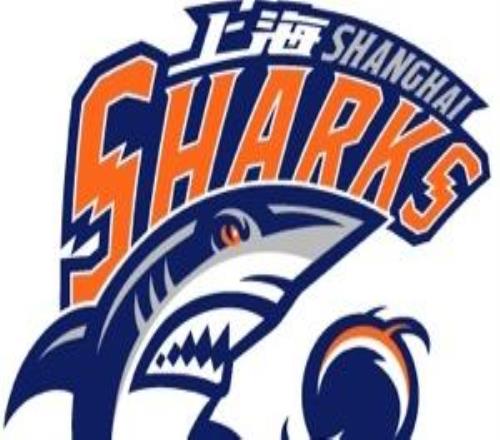 王哲林六罚全中！上海男篮两连胜！