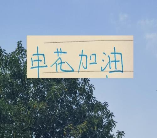 新賽季！天津跟申花一起負(fù)10分起步誰(shuí)會(huì)先拿到積分呢