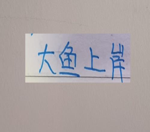 還以為上海雙雄外援身價(jià)是最高的，沒想到升班馬比他們還猛