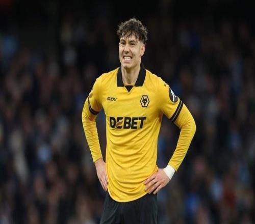 DO：水晶宮4300萬+500萬鎊浮動(dòng)報(bào)價(jià)狼隊(duì)前鋒拉森