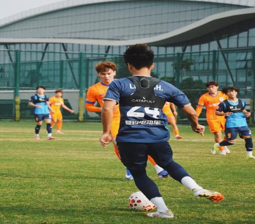 高級貨！魯能小妖來重慶海港鐵衛(wèi)加盟蓉城牛洪利薅完小牛薅韓東