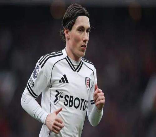 名記：富勒姆拒絕埃弗頓對(duì)哈里威爾遜的詢價(jià)，他們想留住他