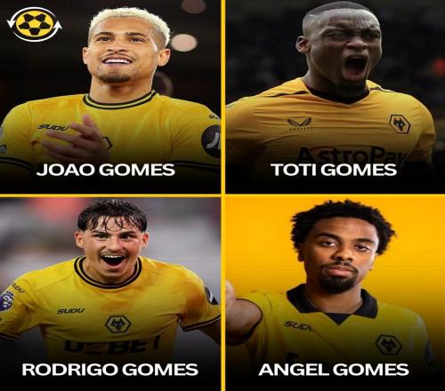 解說員噩夢(mèng)，簽下安熱爾戈梅斯后狼隊(duì)已有4名叫Gomes的球員