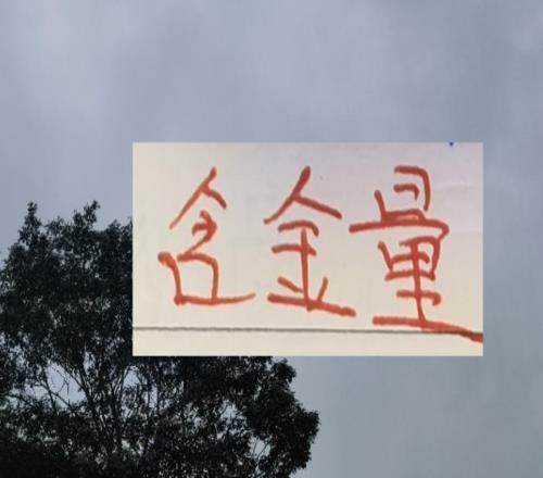 歸化球員也是稀缺資源！上個賽季前4就海港申花北京國安有