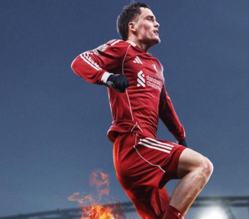 從德甲MVP到英超水貨，1.25億先生又成聯(lián)賽最佳都是說明書惹的禍