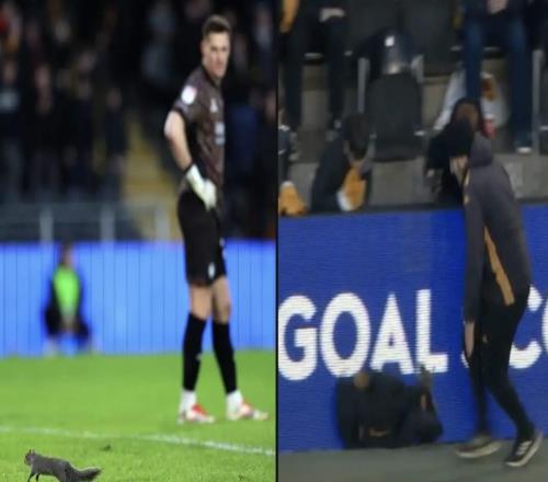 被選為最佳球員，赫爾城vs布里斯托爾的比賽被闖入的松鼠打斷