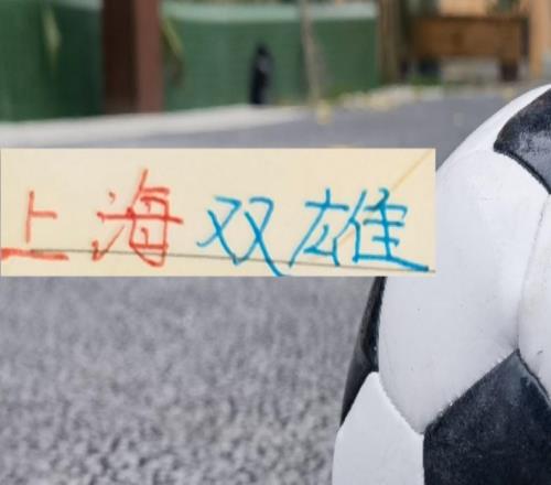 今年上海雙雄都是大手筆申花標(biāo)王拿下拉唐海港重金砸下大魚(yú)