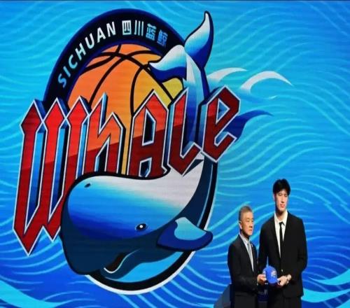 太可怕！四川單賽季29連敗，打破CBA和NBA歷史紀(jì)錄，要被零封啊