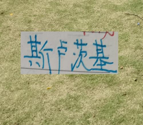 玩體系打轉(zhuǎn)換！前俄教練還是有一手