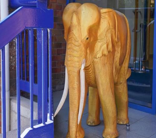 泰晤士報：謝周三計劃拍賣球場的標誌性金象以籌集資金