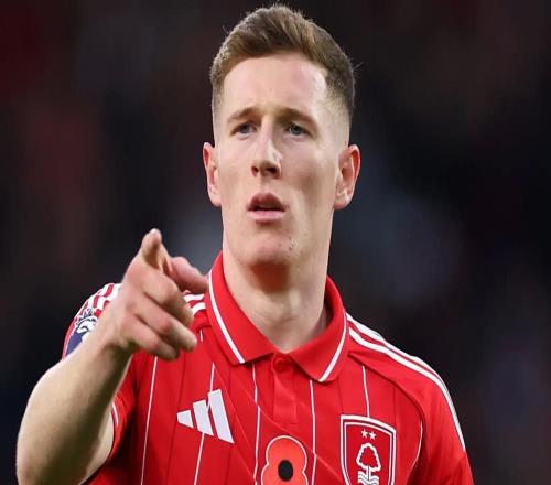 森林舊將：安德森絕對值1億鎊，他去哪支球隊都會有出色表現(xiàn)