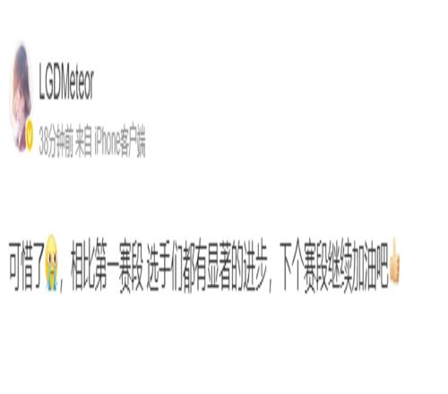 LGD教练Meteor赛后更博:可惜了,相比第一赛段选手们都有显著的进步