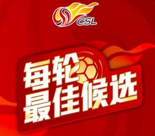 中超第29輪最佳候選：王燊超、鍾義浩入選，法比奧在列