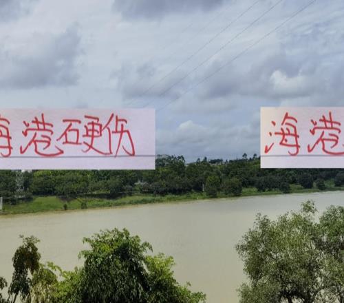 除海港外!前5主场都有超4万场次海港球迷不够隔壁多也是硬伤