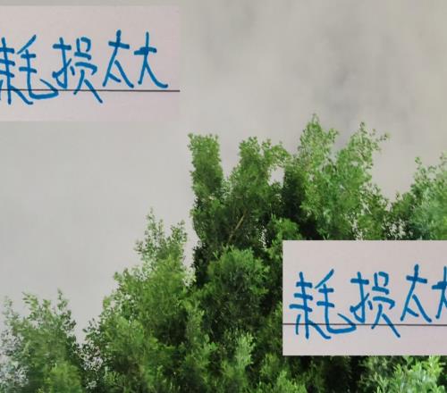 亚冠对马纳法+特谢拉耗损太大了!申花双子神不灵球队也不灵
