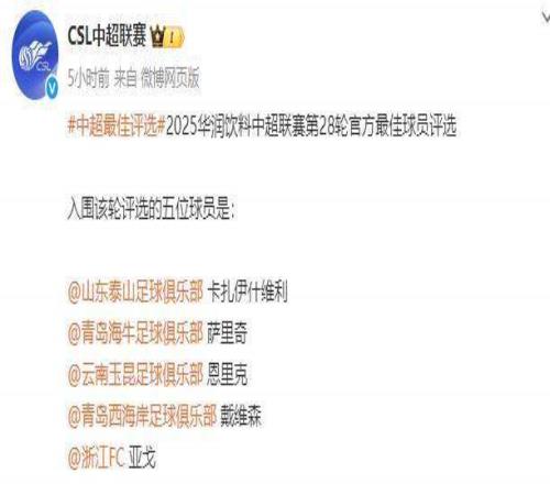 中超第28轮最佳候选:卡扎伊什维利恩里克在列