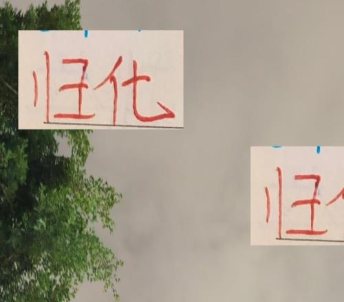 中超前4的歸化球員海港的蔣光太申花的李可也是物有所值