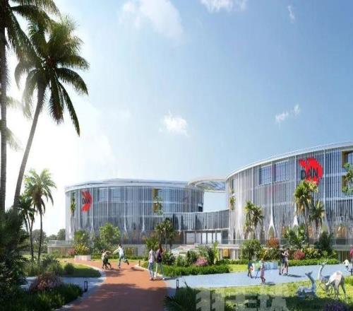 关注｜林丹领航，海南正在长出中国版“IMG学院”