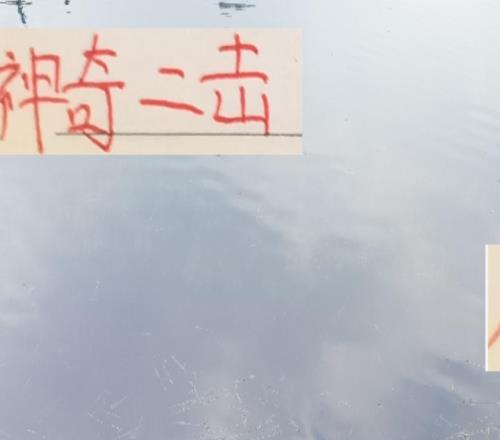 神奇二击!海港跟申花前15轮拿分第一后半程突然拉胯了
