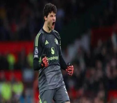 弗格森稱讚曼聯新門：表現出色，是個不錯的新援