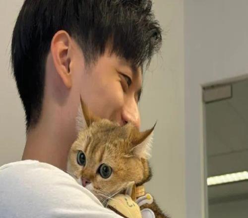 你是真用心，也是真下血本啊......