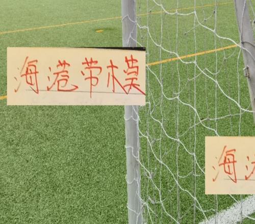 海港的勞模！蔣光太四年時間不到代表球隊打了上百場比賽