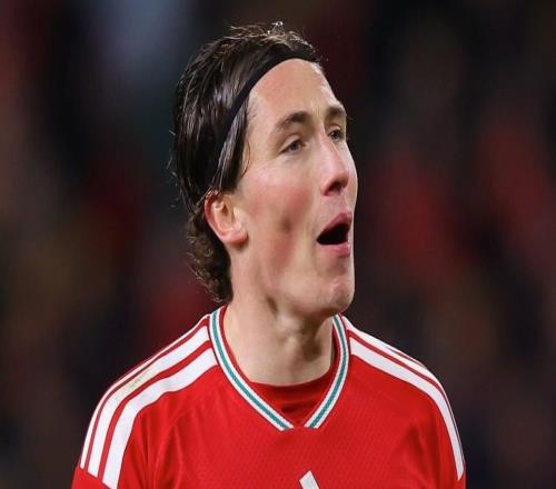 71，哈里威爾遜是繼貝爾之后威爾士隊(duì)近20年第二位戴帽球員