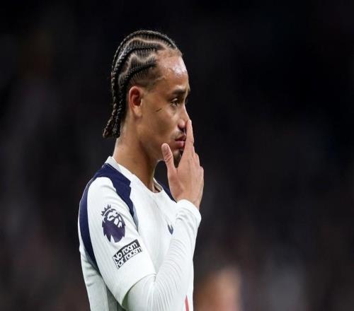 德甲出場又一“水貨”熱刺高價引援再陷泥潭