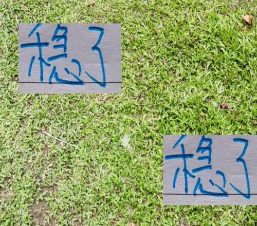 穩了！最後一輪海港+申花的比賽都有央視直播你選擇看哪場