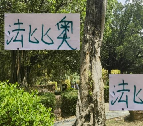 從單輪最佳中超金靴足協(xié)杯帽子戲法感覺法比奧年度MVP有戲