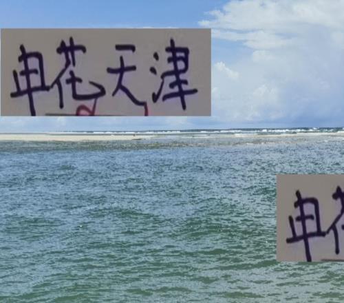 海港跟英博哥们好!刘主任是红魔租过去而申花跟天津关系就难说