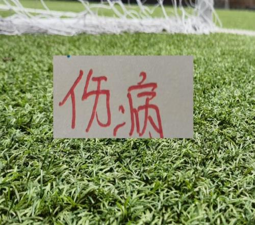 慶幸！北京國安+申花陣容厚度夠肥能玩得自損500傷敵1000打法