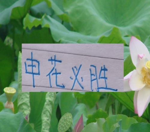 現階段的申花要拿冠軍！最大的依仗還是鋒線進球能力