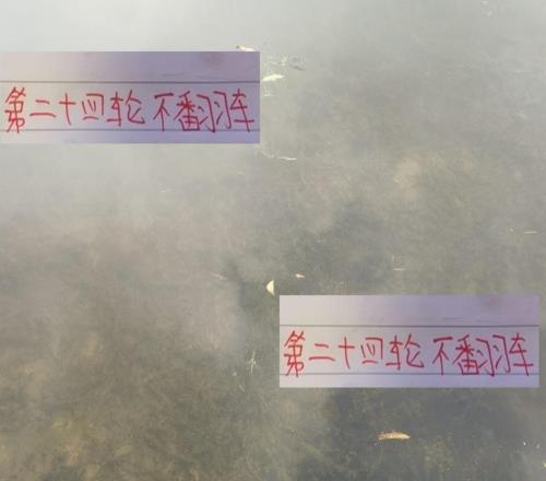 第24輪中超前4前瞻海港+成都是最不可能翻車