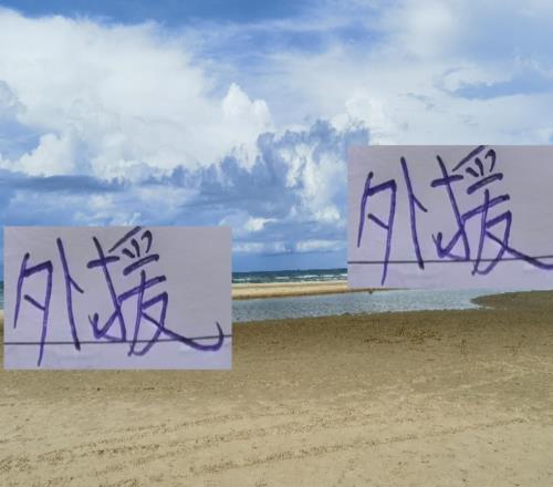 沒想到！本賽季外援進球最多的球隊不是海港而是山東泰山