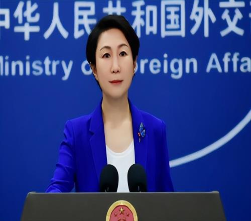 中国严正声明:立即撤换!