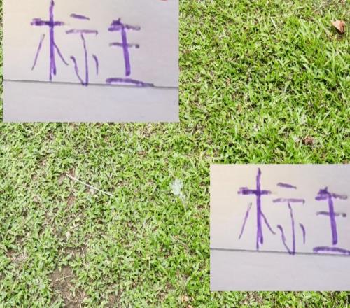 今年標(biāo)王北京國(guó)安達(dá)萬(wàn)沒(méi)入選中超最佳候選而去年標(biāo)王澤卡則入選