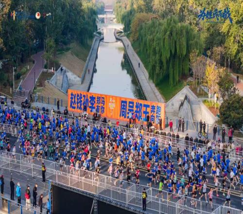以“姓”为媒，“郑马”跑出中原文化新高度 | 新京报评论